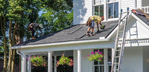 Best Roof Insulation Installation  in Eufaula, AL
